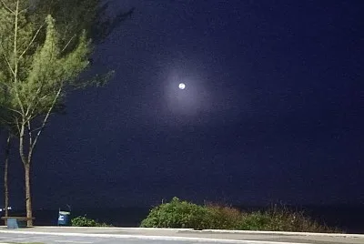 Um passeio a beira mar