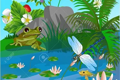 jardin florido