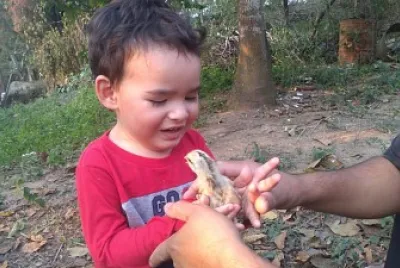 Meu filho
