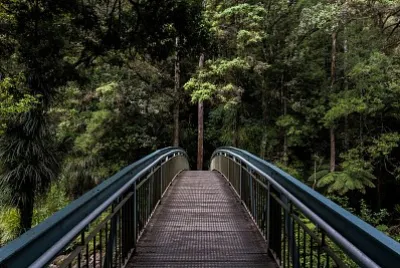 Whangarei Falls footbridge jigsaw puzzle
