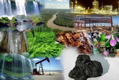 Arma el rompecabezas sobre los Recursos Naturales