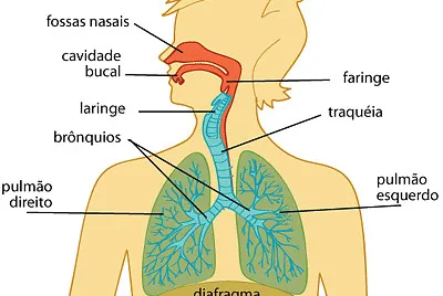 Sistema RespiratÃ³rio