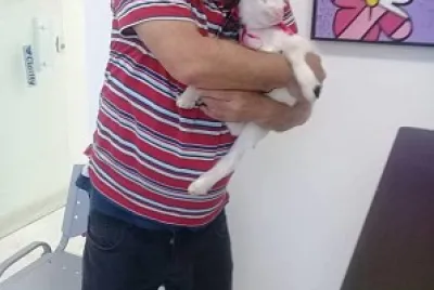 cawboy jigsaw puzzle