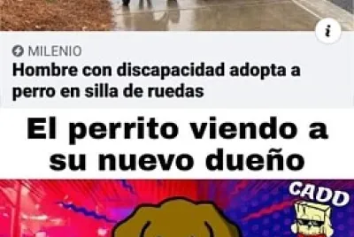 Esto es una reflexion :)