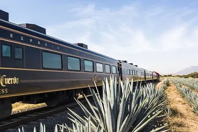 Tequila Train