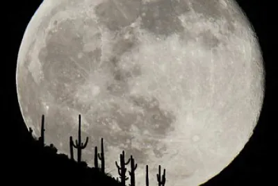 Arizona Moon