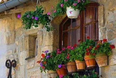 ventana
