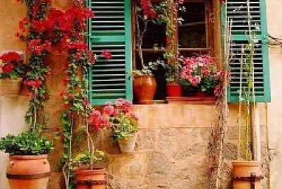 ventana