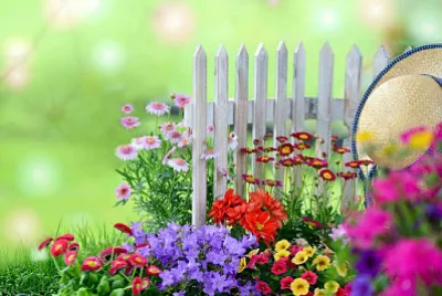 flores jigsaw puzzle