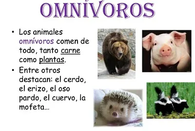 פאזל של Animales OmnÃ­voros