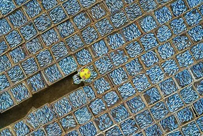 פאזל של Fish Market in Vietnam