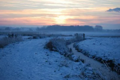 FROZEN MARSHES IN NORFOLK