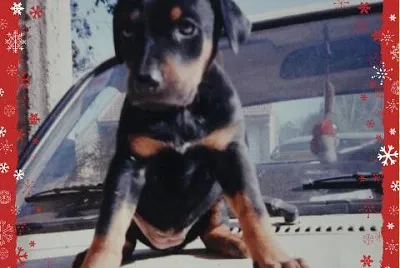 edgar