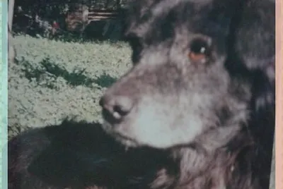 edgar