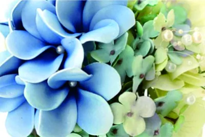 é›žè›‹èŠ±