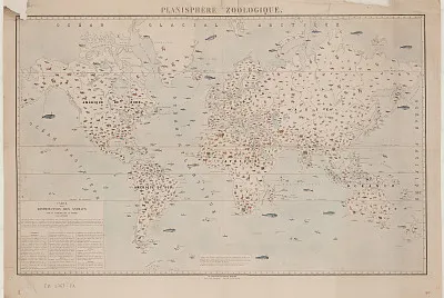 פאזל של Carte des animaux