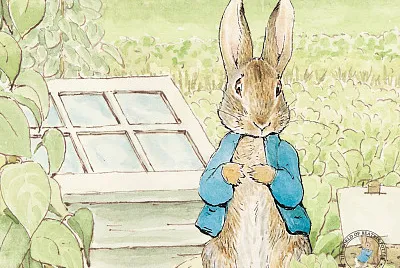 Peter Rabbit