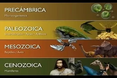 eras geologicas jigsaw puzzle