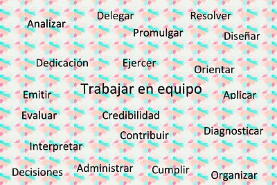contador publico