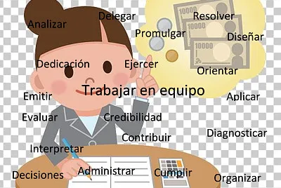 contador publico