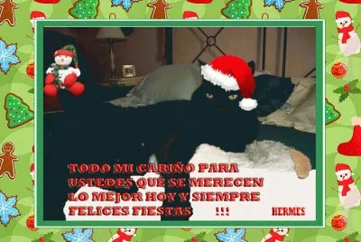 fotos variadas