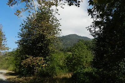 EN LA CAÃ‘ADA
