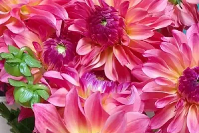 flores jigsaw puzzle