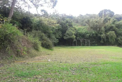 Bosque
