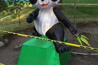 panda