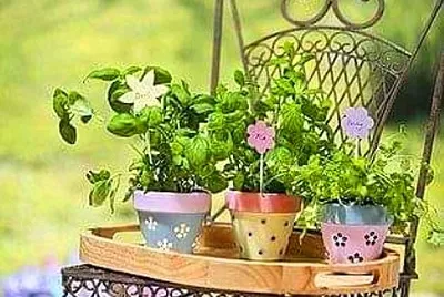 flores jigsaw puzzle