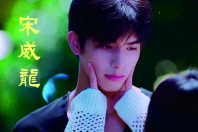 ä¸­åœ‹ç”·æ¼”å“¡ å®‹å¨é¾