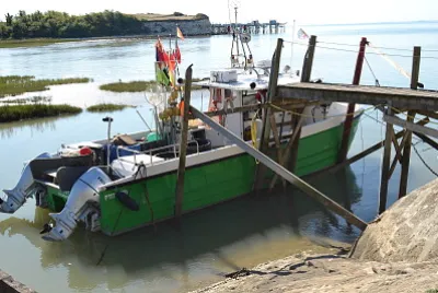 פאזל של talmont