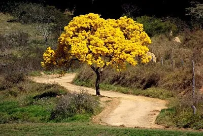 imagem jigsaw puzzle