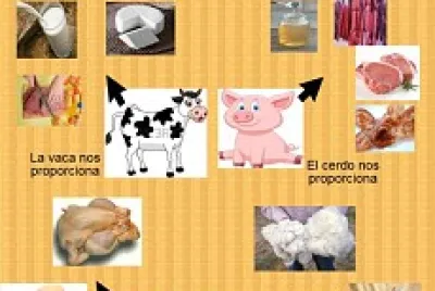 פאזל של Utilidad de los animales