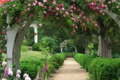 Jardim