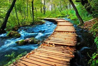 natural jigsaw puzzle