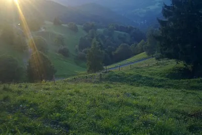 Aussicht mit Abendsonne