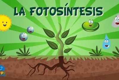 FotosÃ­ntesis