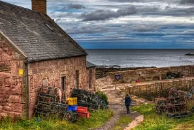 natural jigsaw puzzle