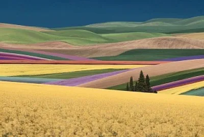 cores jigsaw puzzle