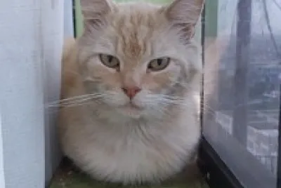 KERIM
