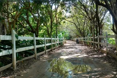 Caminho para a Praia dos   Carneiros/PE