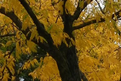 OCTOBER