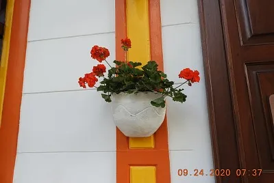 FLOWERS