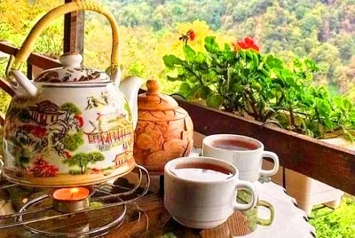 tazas