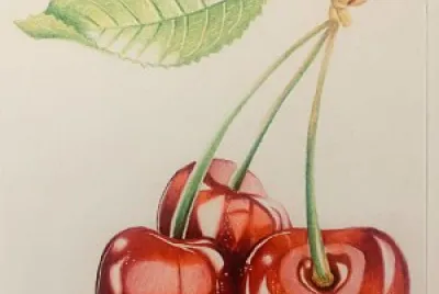 CEREZA