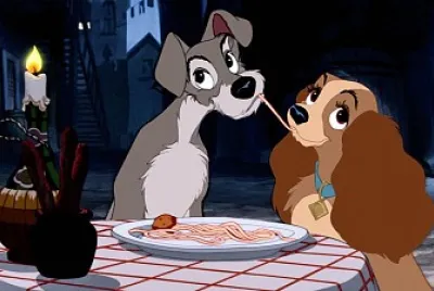 animales