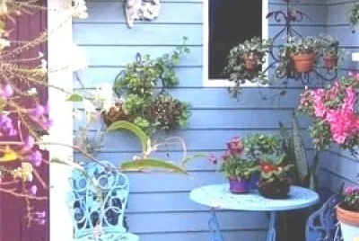 terraza