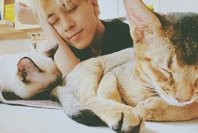 Hendery