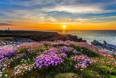 sunset jigsaw puzzle